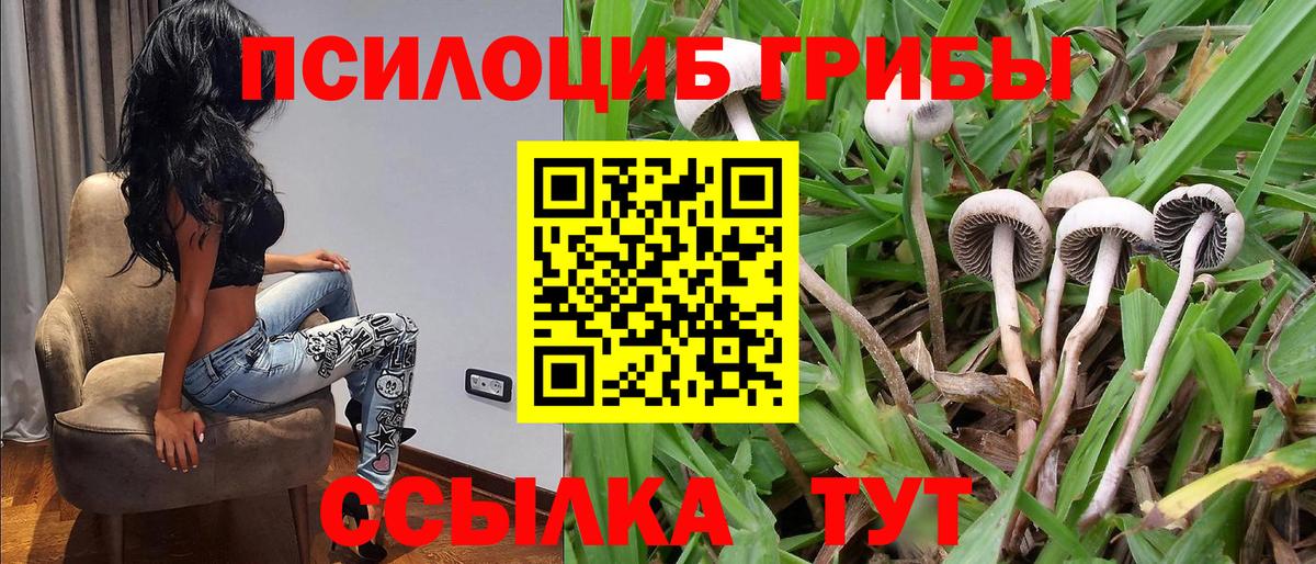 Псилоцибиновые грибы прущие грибы Подольск